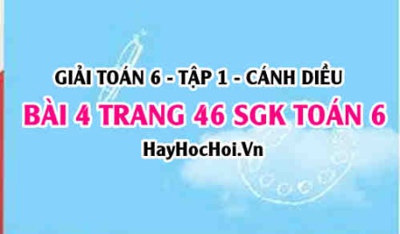 Giải bài 4 trang 46 Toán 6 Tập 1 SGK Cánh Diều